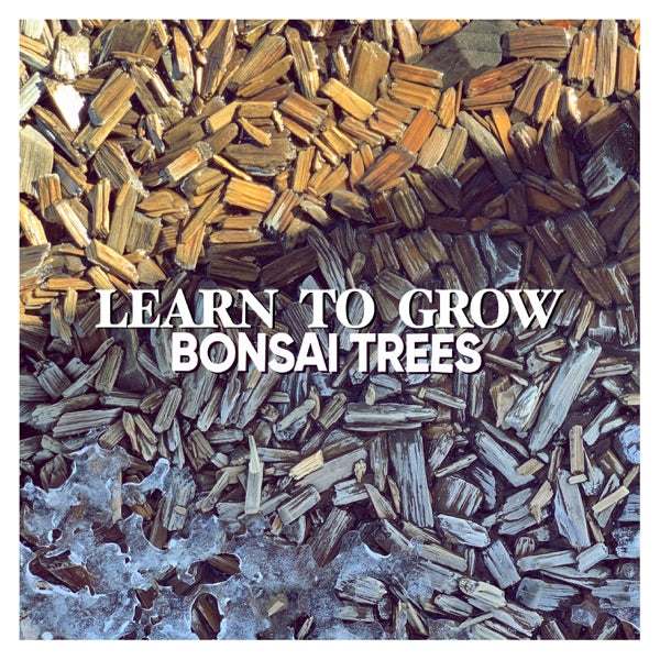 Trying To Grow - Green Colored Vinyl cover