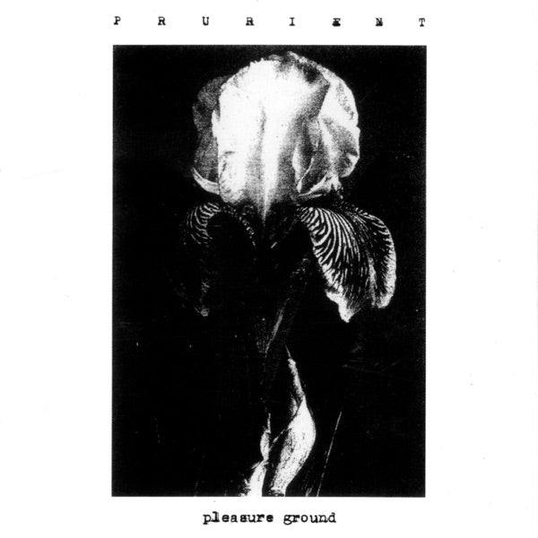 Pleasure Ground cover