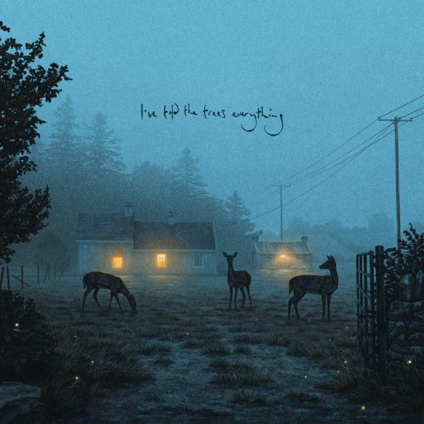 I've Told The Trees Everything cover