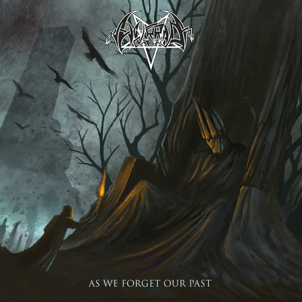 As We Forget Our Past cover