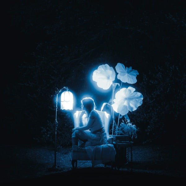 Blue Hour in the Living Room cover