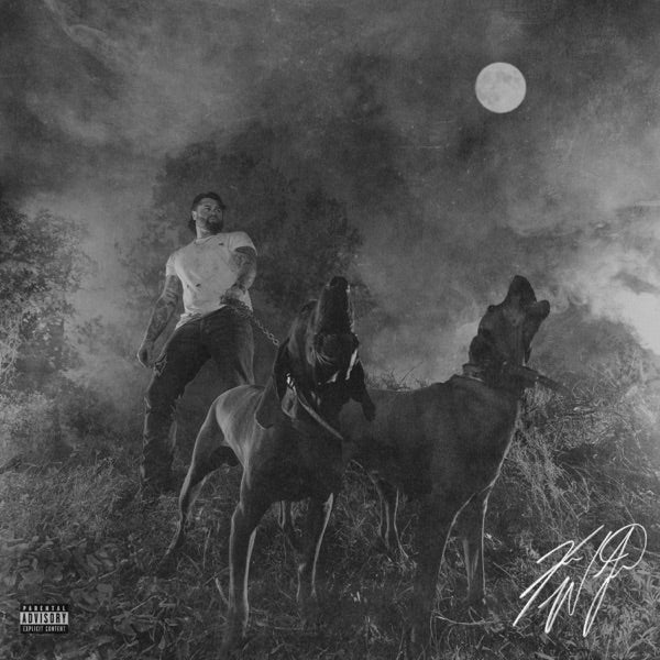 The Night Champion cover