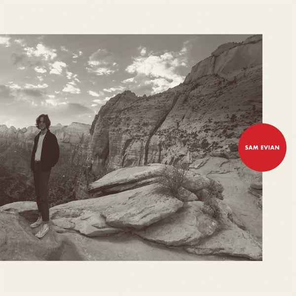 Premium (CLEAR VINYL) cover