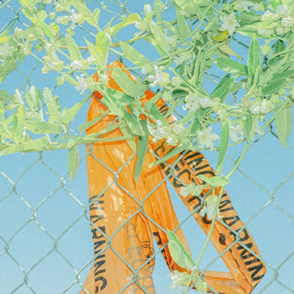 I Know What I Saw cover