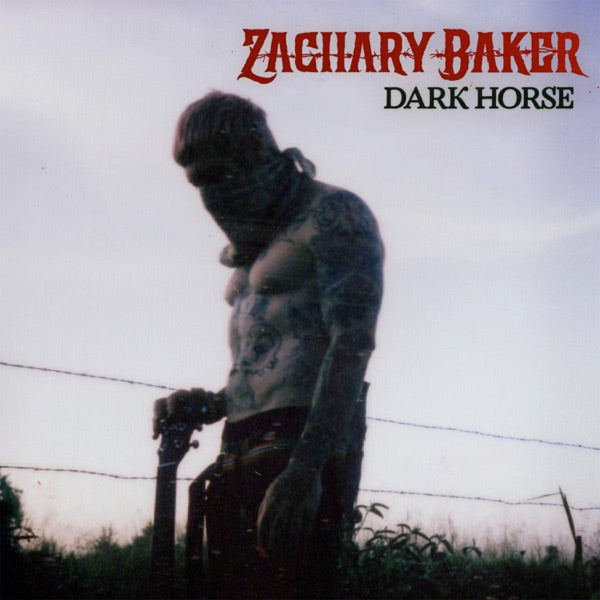 Dark Horse [VINYL] cover