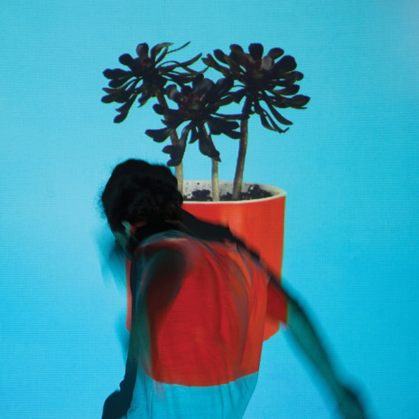 Sunlit Youth [LP] cover