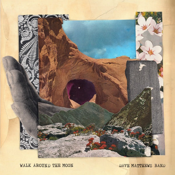 Walk Around The Moon Clear Vinyl cover