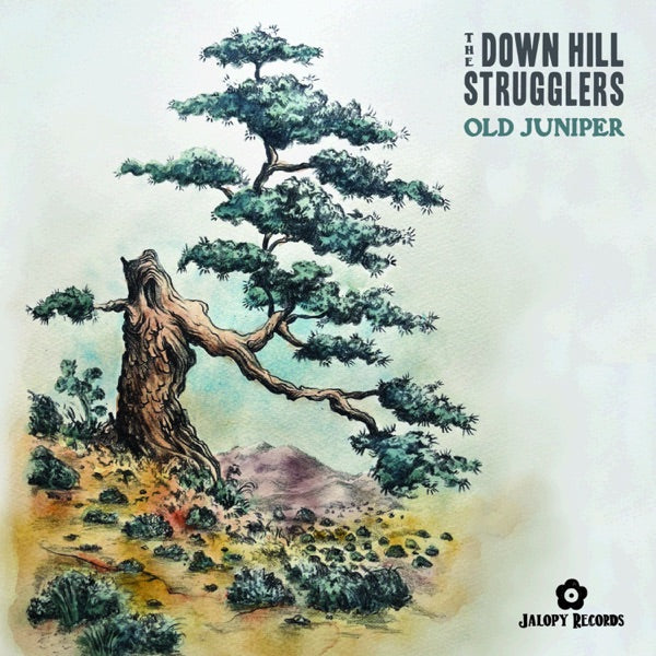 Old Juniper cover