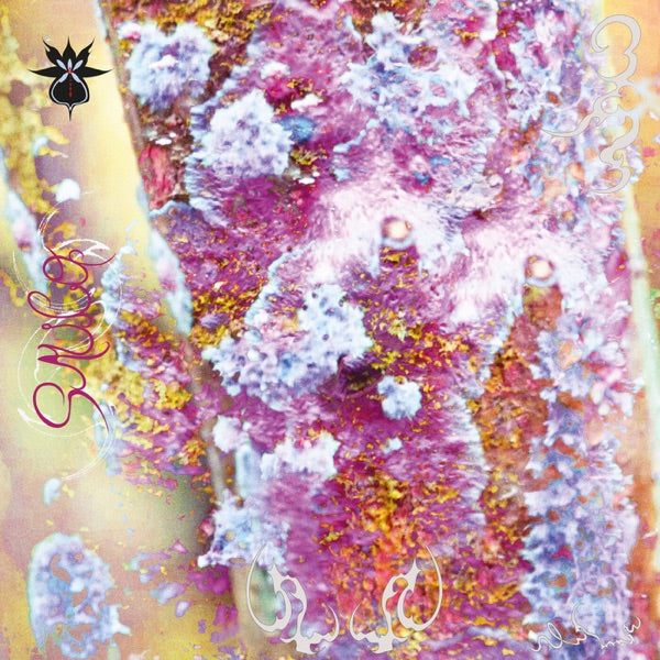 SAUCO [LP] cover
