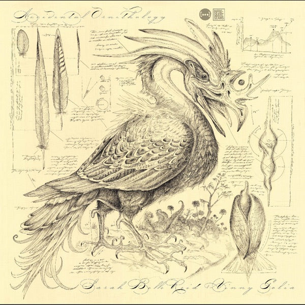 Accidental Ornithology cover