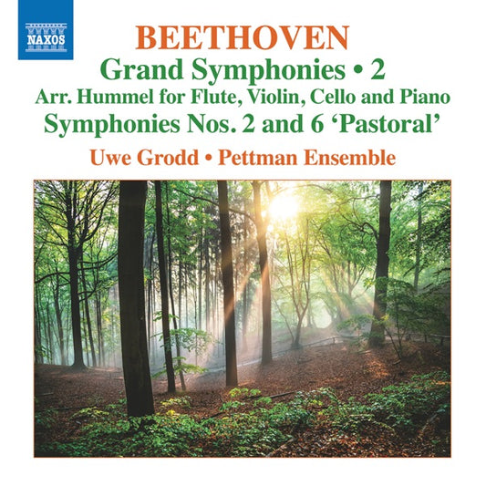 Grand Symphonies Vol 2 - Nos 2 & 6 cover