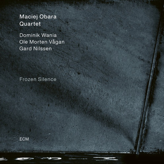 Frozen Silence[LP] cover