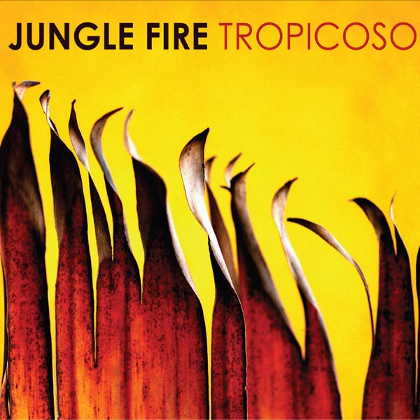 Tropicoso cover