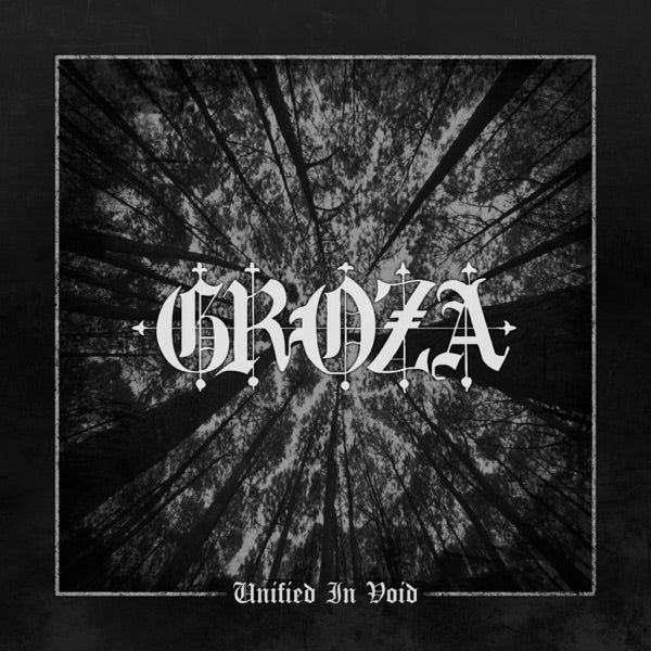 Unified In Void [VINYL] cover