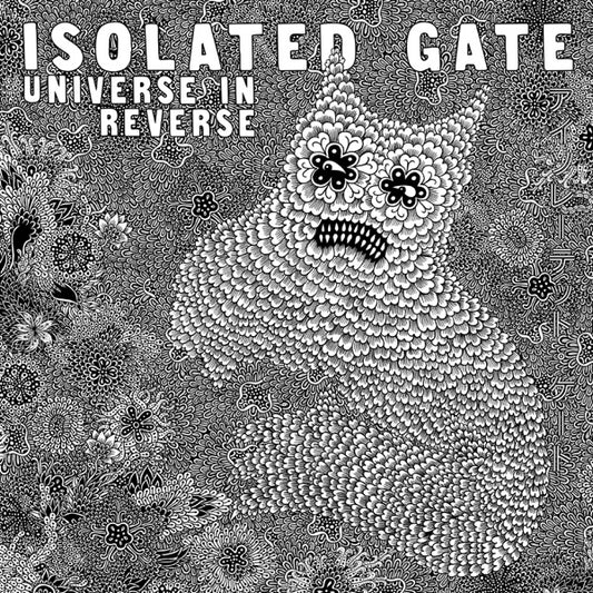 Universe In Reverse cover