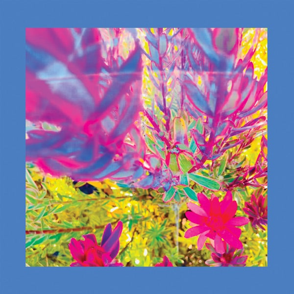The Past is a Garden I Never Fed (SKY BLUE VINYL) cover