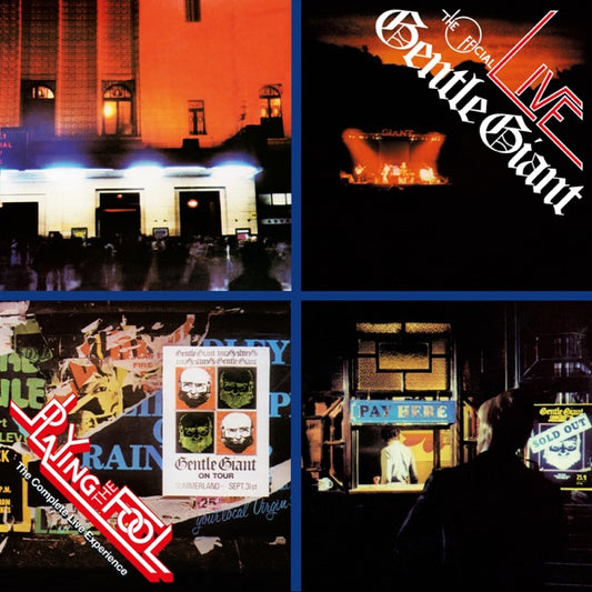 Playing the Fool - The Complete Live Experience cover