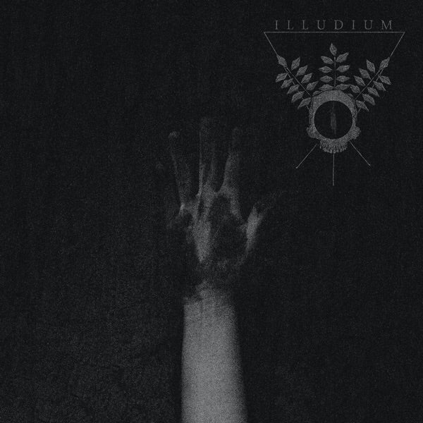 Ash Of The Womb cover