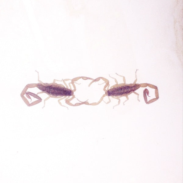 Cross Record cover