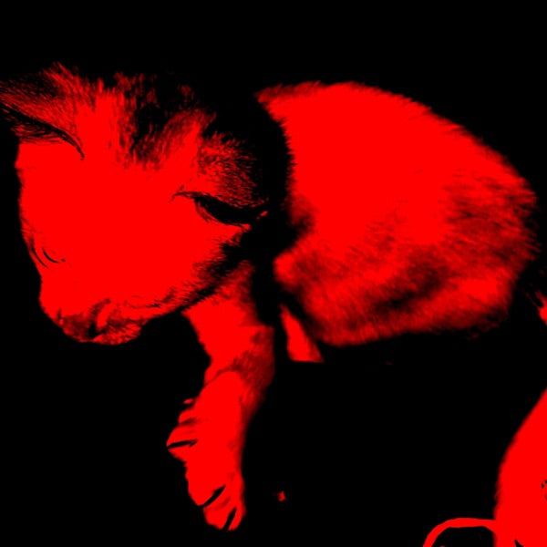 NOIR[Grape 2 LP] cover