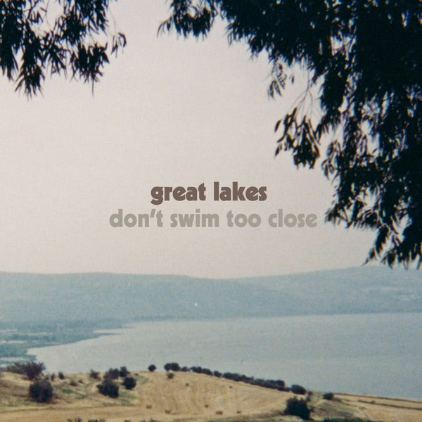 Don't Swim Too Close cover
