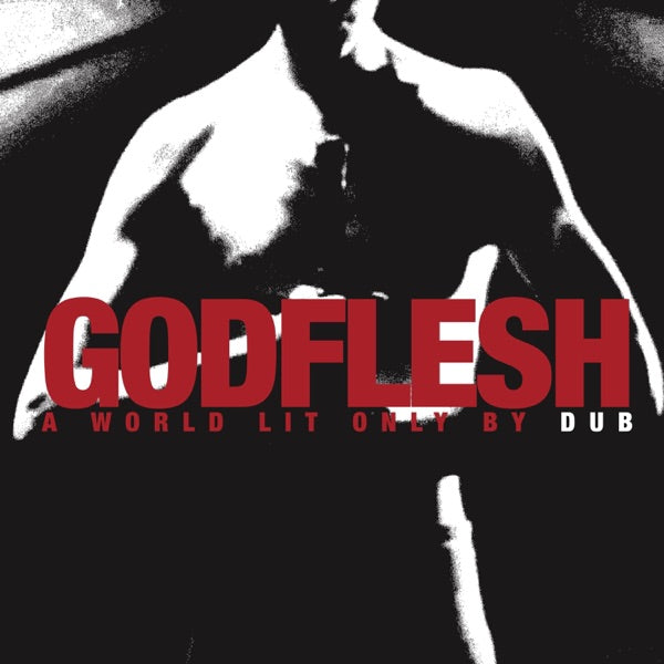 A World Lit Only by Dub cover