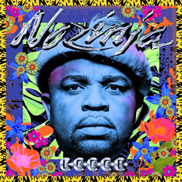 Nozinja Lodge cover