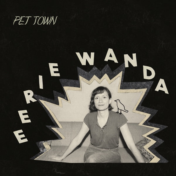 Pet Town cover