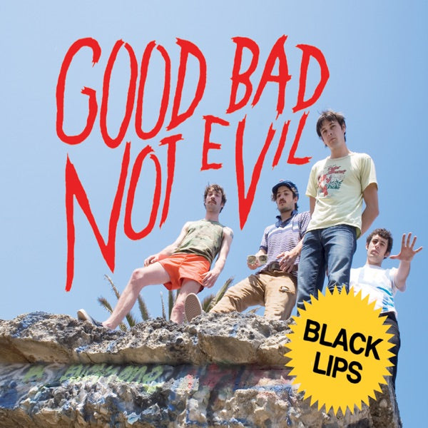 Good Bad Not Evil (DELUXE EDITION) cover