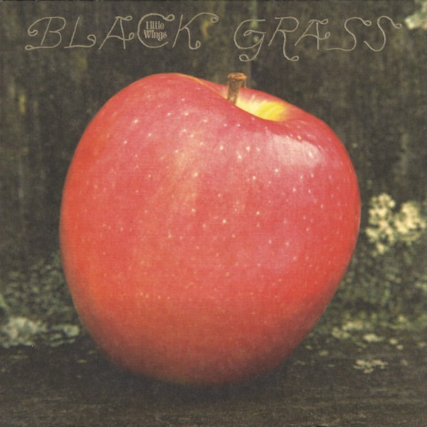 Little Life (Reissue) cover