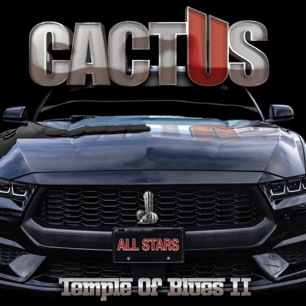Temple Of Blues II - All-Stars cover