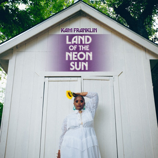 Land Of The Neon Sun cover