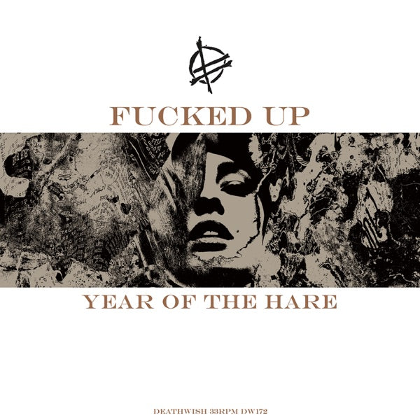 Year Of The Hare cover