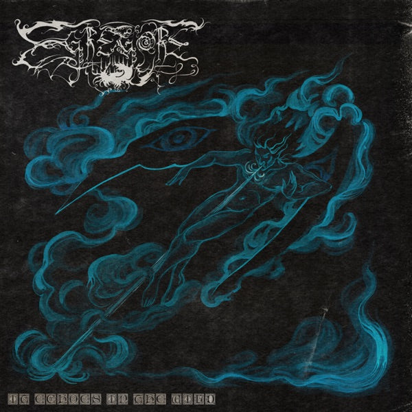 It Echoes In The Wild cover