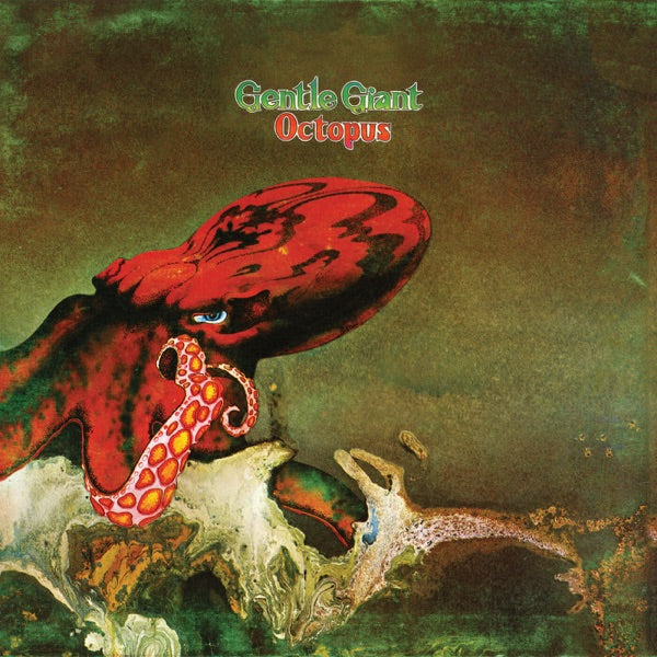 Octopus cover