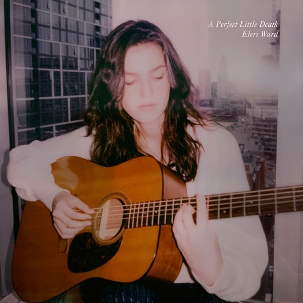 A Perfect Little Death cover