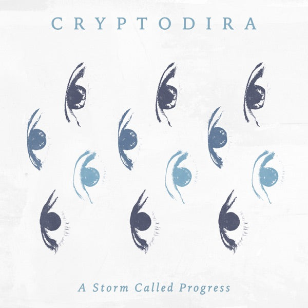 A Storm Called Progress cover