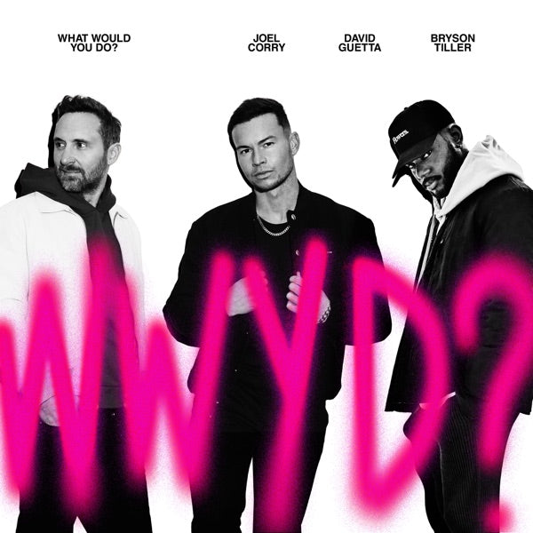 What Would You Do? (Remixes) cover
