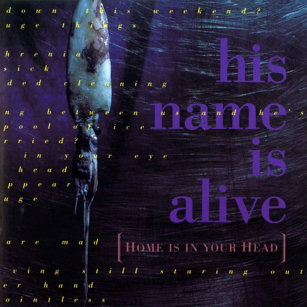 Home Is In Your Head cover