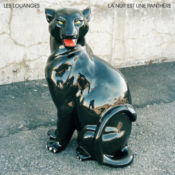 La Nuit Est Une Panthere cover
