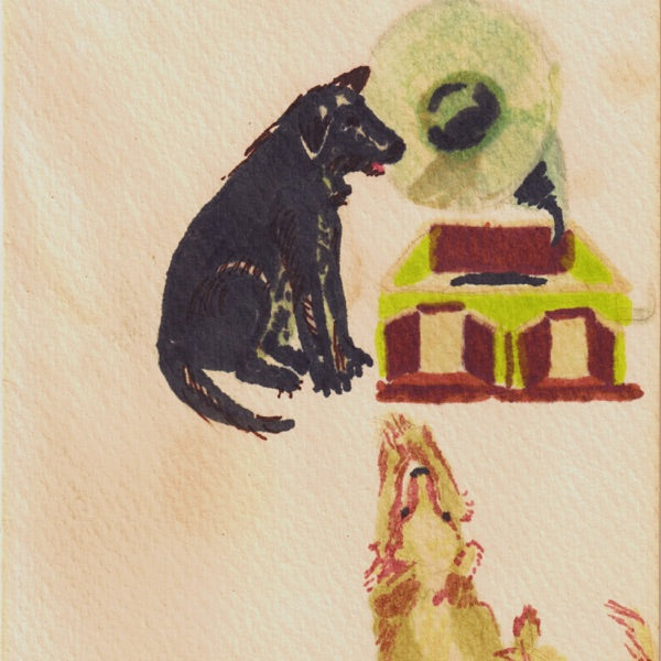 Lucky Dog cover