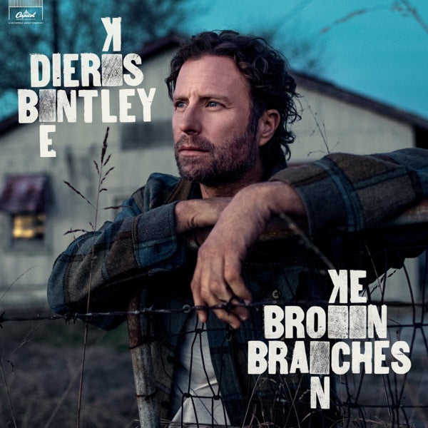 Broken Branches[Jet Black LP] cover