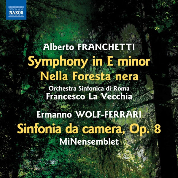 Symphony in E Minor Nella Foresta Nera cover