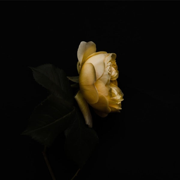 Ebb And Flow: Meditations For Grief Support cover