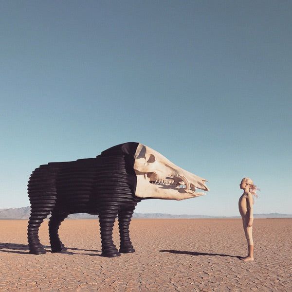 Dream Hunting In The Valley Of The In-between cover