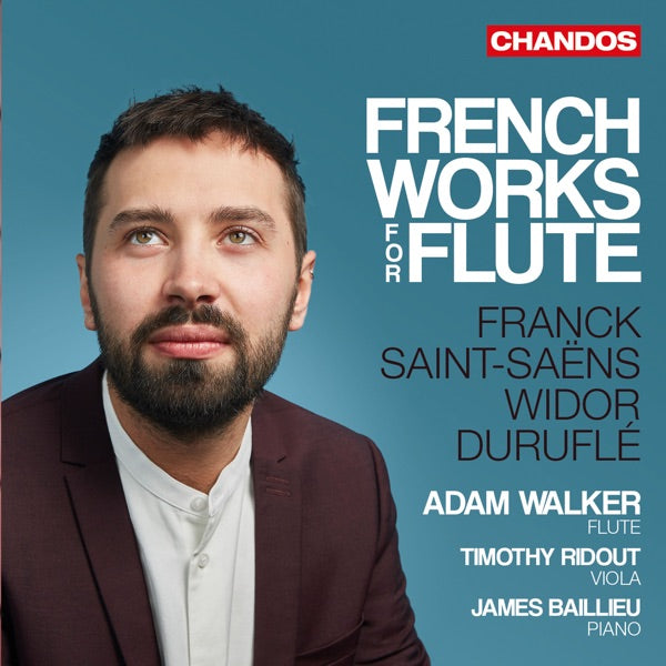 Works for Flute cover