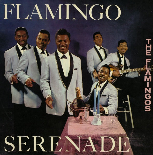 Flamingo Serenade cover