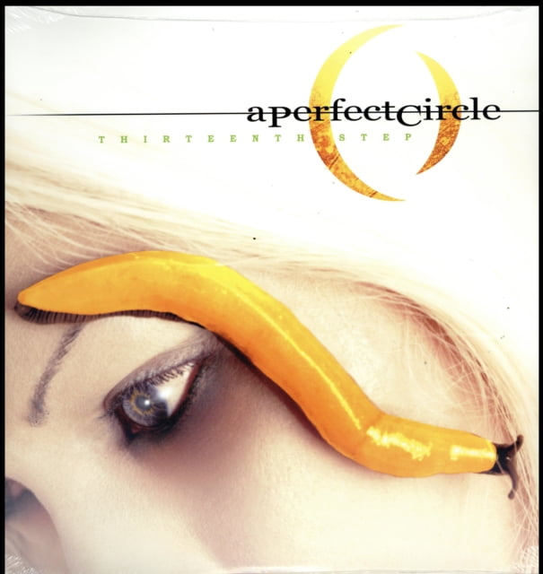 Thirteenth Step [Vinyl]