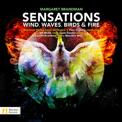 Brandman: Sensations