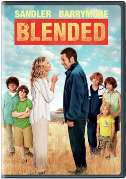 Blended [DVD]